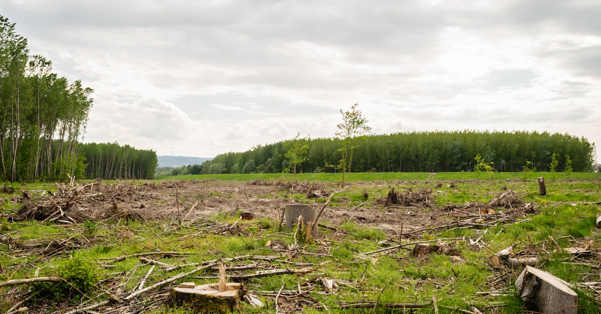 Land Clearing Cost Calculator | Per-Acre Site Prep Band (USD)